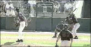 http://www.gifbin.com/bin/1232905640_bird gets pitched.gif